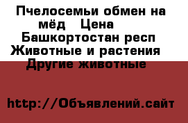 Пчелосемьи обмен на мёд › Цена ­ 5 - Башкортостан респ. Животные и растения » Другие животные   